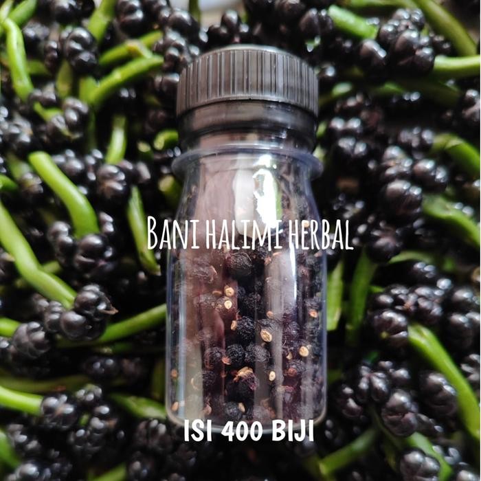 

Biji Angkung Kering Obat Herbal Stroke 400 Biji Bonus 20 Biji ready