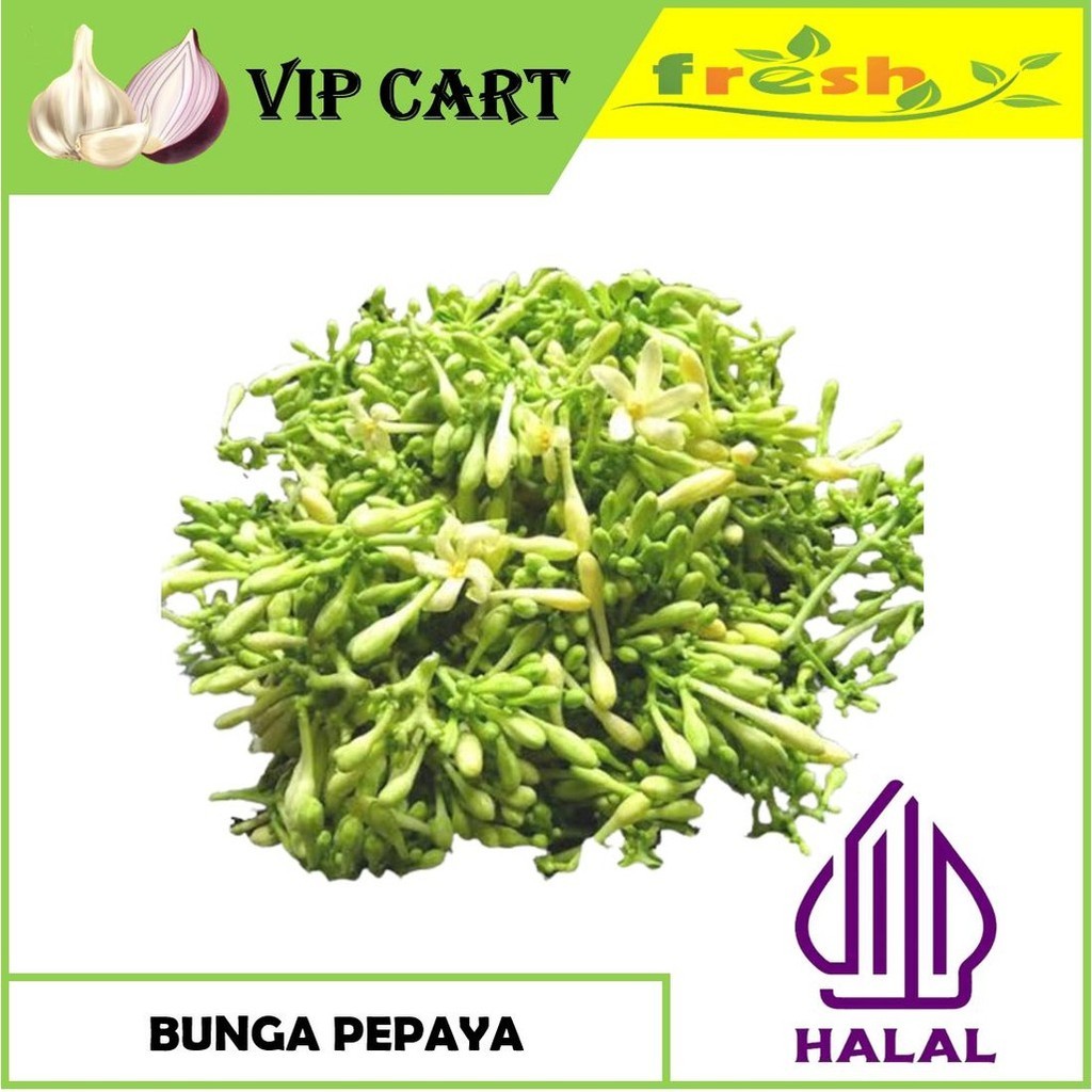 

BUNGA / KEMBANG PEPAYA SEGAR - VIP SAYUR
