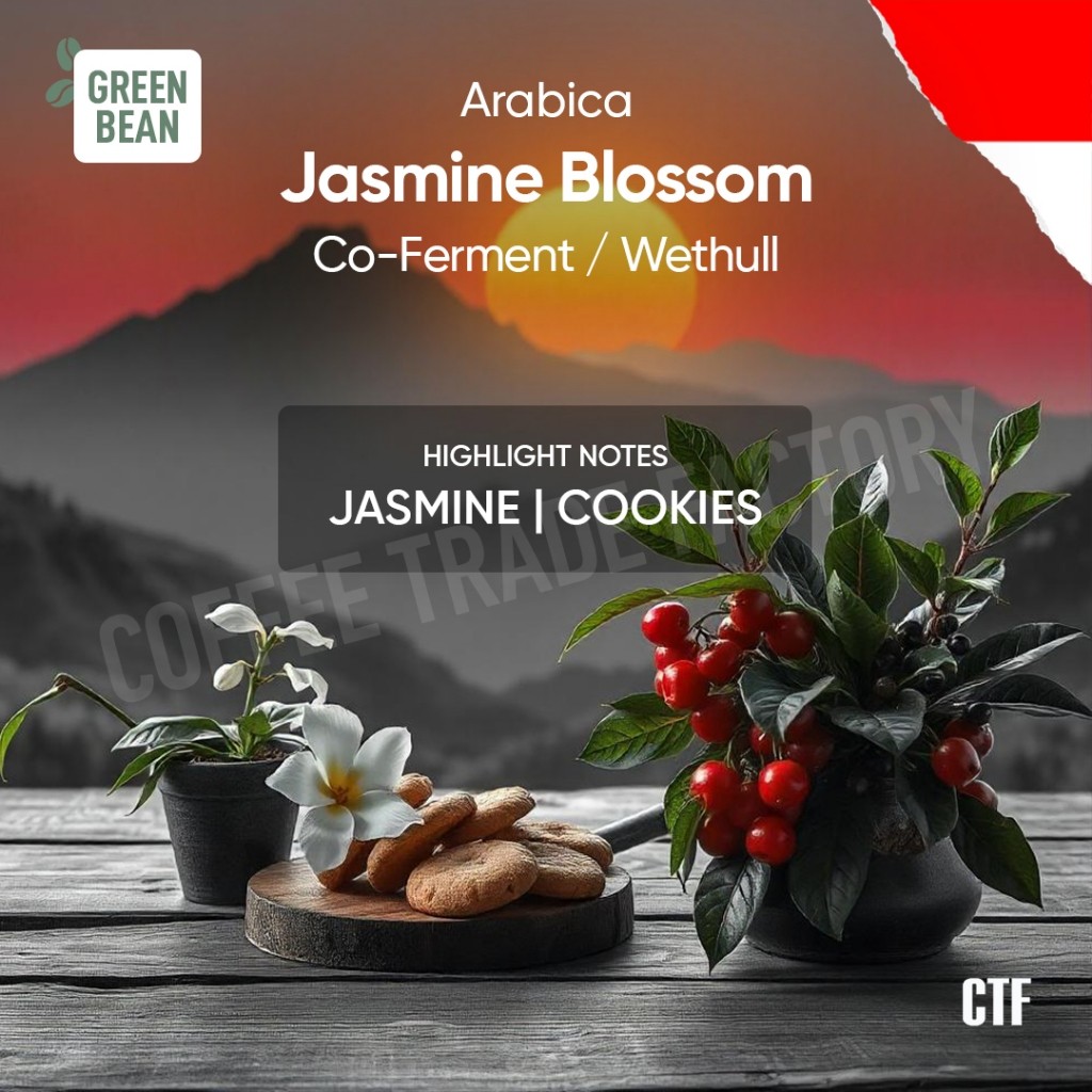 

Green Beans Arabika Taneh Karo Wet Hull Jasmine Blossom / Coffee Trade Factory CTF / Green Bean Arabica Jasmine Blossom Biji kopi mentah wethull wet hulled premium berkualitas greenbean specialty coffee danau Lake toba Indonesia