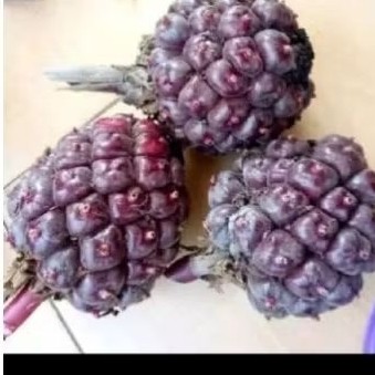 

honje laka/buah honje merah asli 500gram