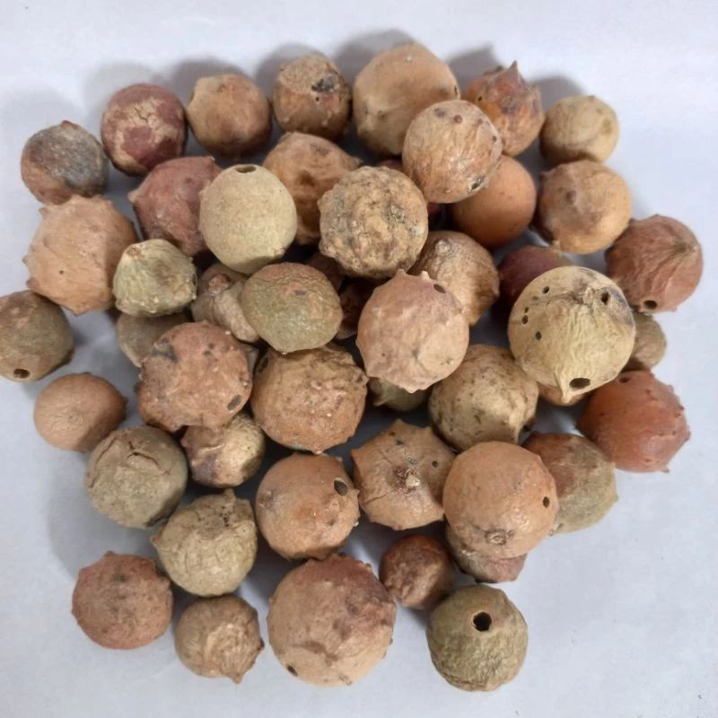 

MURAH Buah Manjakani 100gr