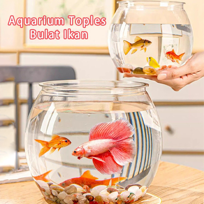 Aquarium Toples Bulat Ikan/Aquarium Mini Ikan Hias/Hias Aquarium Bulat/Wadah Tanaman Hias Hidroponik