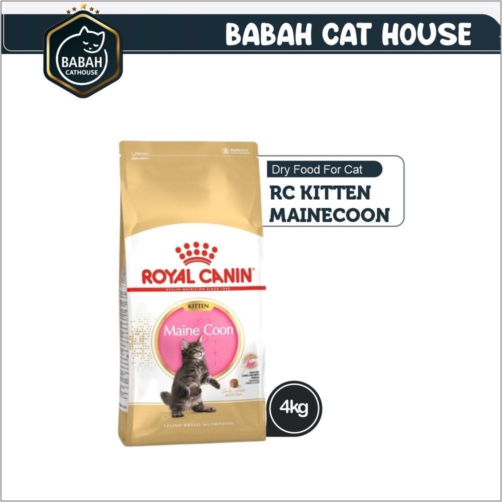 4kg ROYAL CANIN KITTEN MAINECOON cat food makanan anak kucing rc main coon untuk bayi anakan ras bes