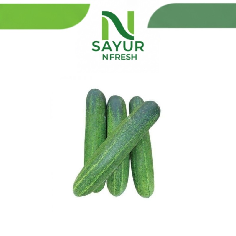 

TIMUN 500GR