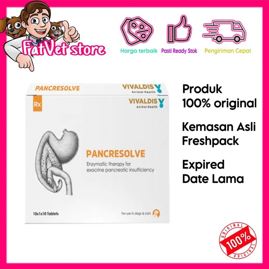 Pancresolve enzym pencernaan anjing kucing original mirip panakare