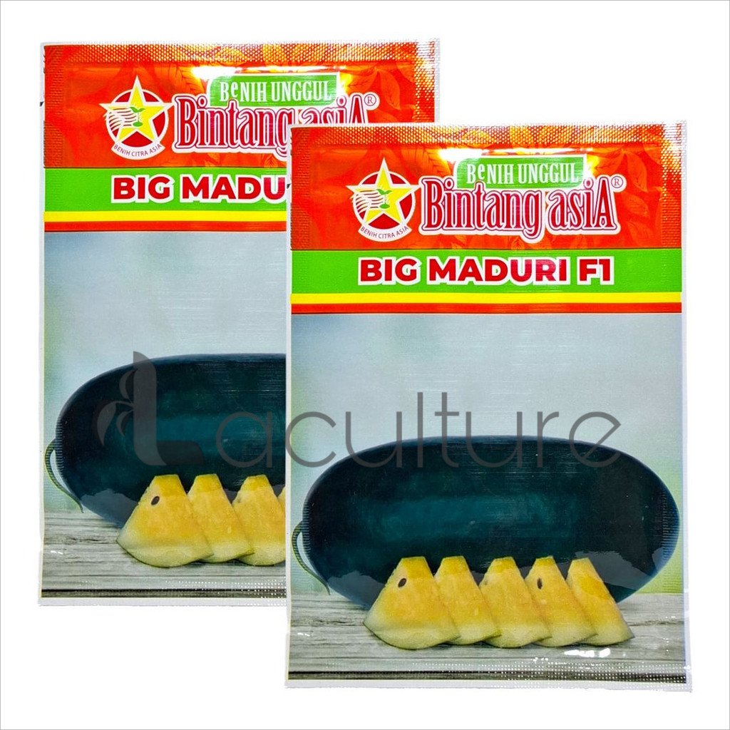 Benih Semangka Kuning BIG MADURI 20gr Bintang Asia