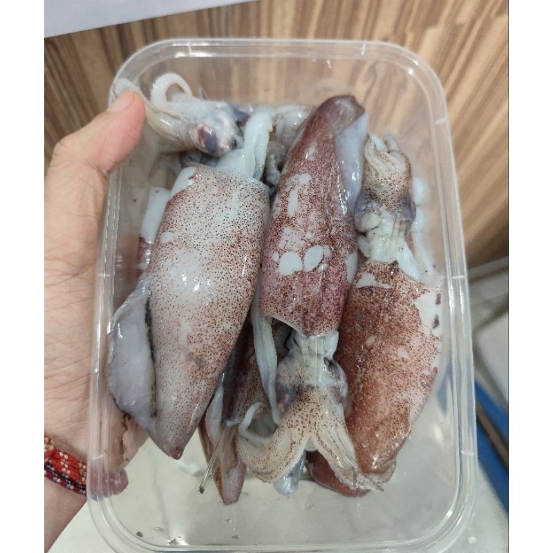 

Cumi Sedang Utuh 1/2kg