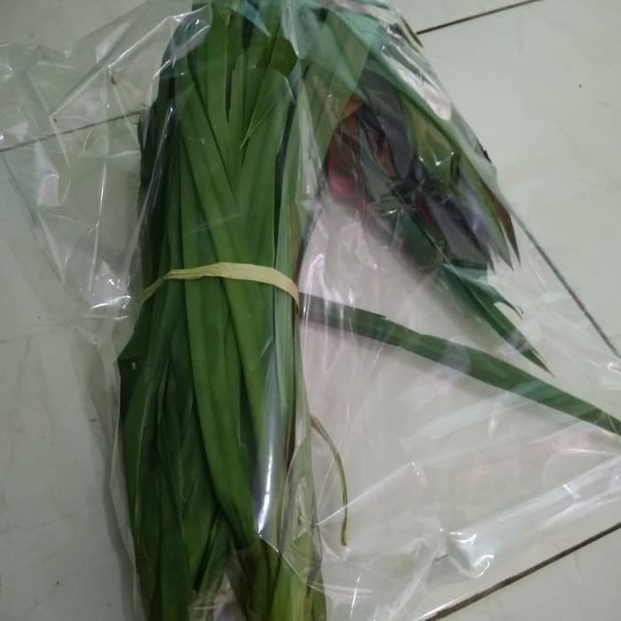 

Gelaskosong11 Daun Pandan Segar ⠀⠀⠀⠀⠀⠀ KC