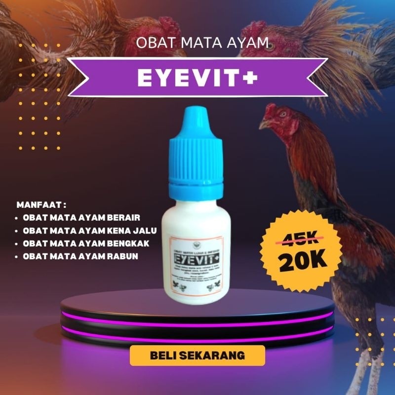 Obat Ayam philipin Top EYEVIT+ tetes mata aduan terkena pukul jalu luka infeksi rimang