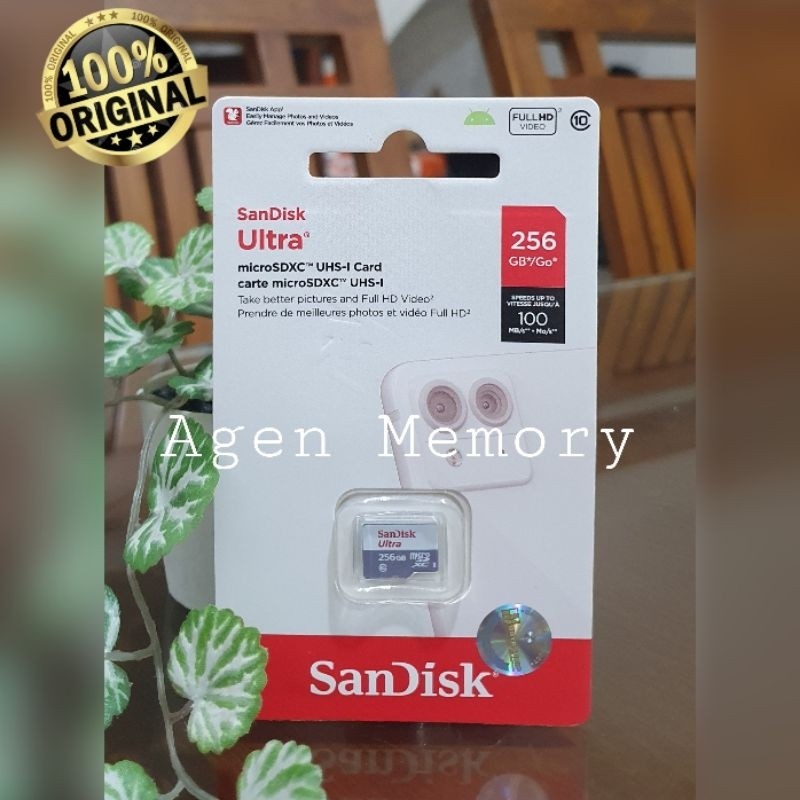 Memori card Micro SD Sandisk 256gb 100mb