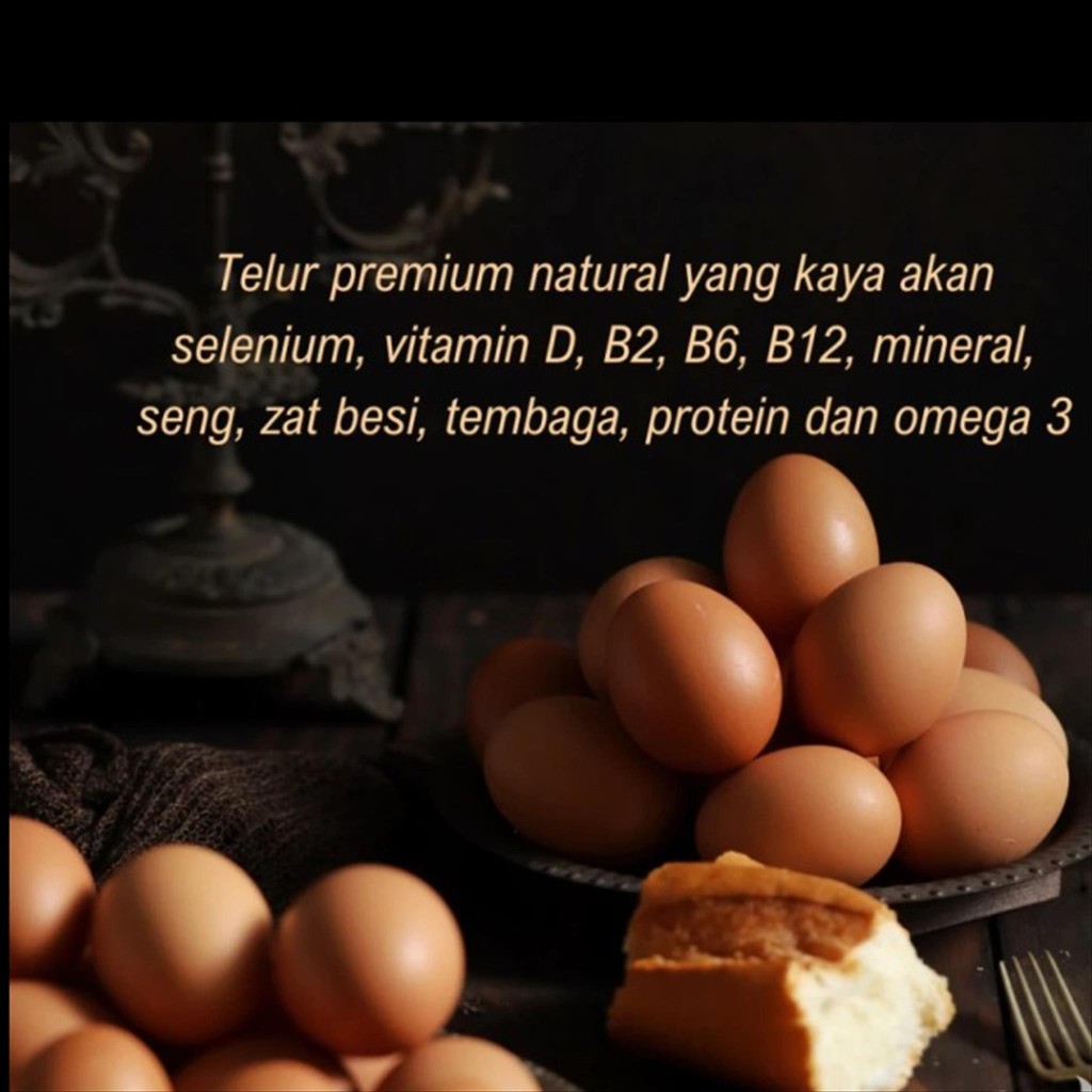 

RB Telur Ayam Negeri Omega Premium 1 Tray - 30 pcs Kualitas Terbaik