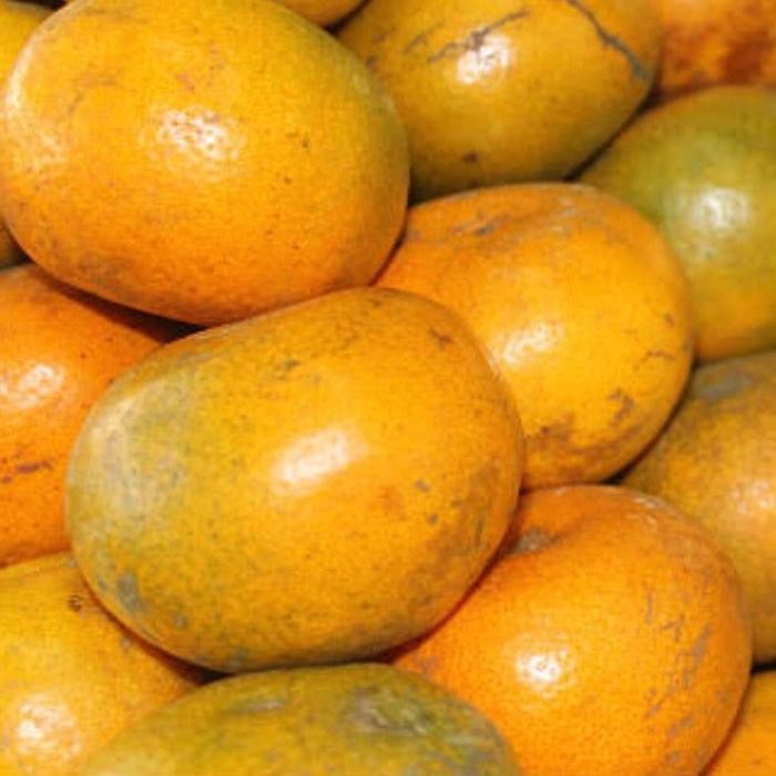 

Jeruk Medan 1 kg
