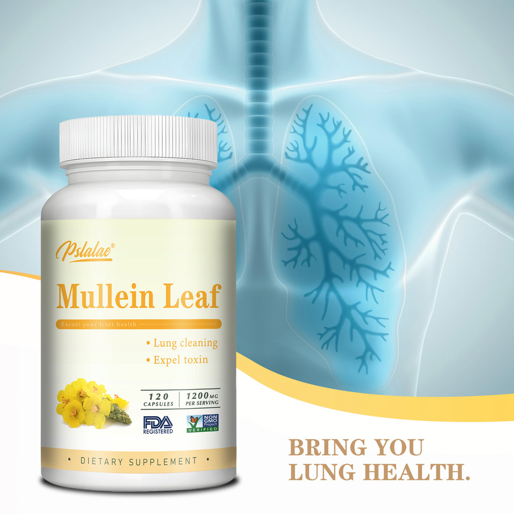 Kapsul Mullein Organik - Ekstrak Daun Mullein Murni untuk Kesehatan Pernapasan