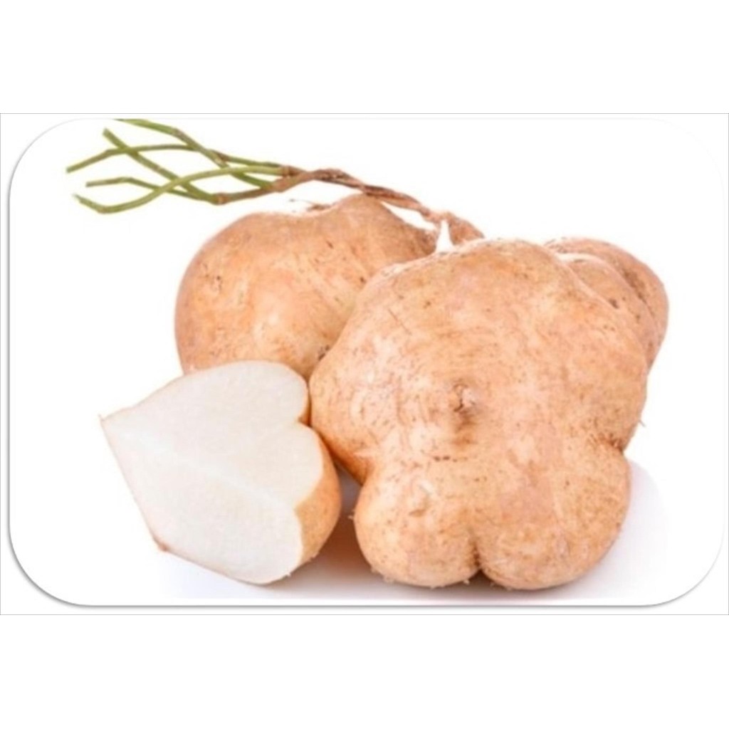 

BENGKUANG / BENGKOANG SEGAR FRESH HARIAN 500 GR