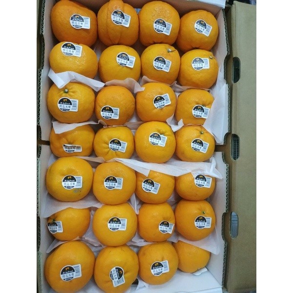 

Jeruk Wokam HolyFresh 1 Dus (9 Kg) Fresh Import