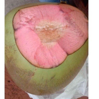 

BUAH Kelapa Muda || Kelapa Ijo || Kelapa Wulung