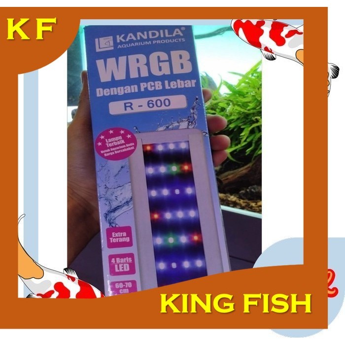 lampu led KANDILA R 600 WRGB led gantung 70 CM aquarium aquascape