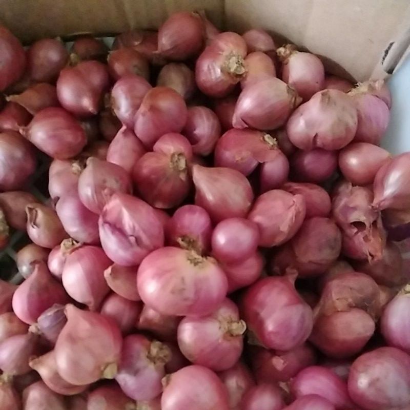 

Bawang merah berat 250gr - ARM