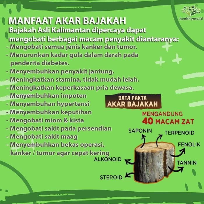 

Mumpung Murah Akar Kayu Bajakah Merah Kalalawit Asli Kalimantan - 1 KG