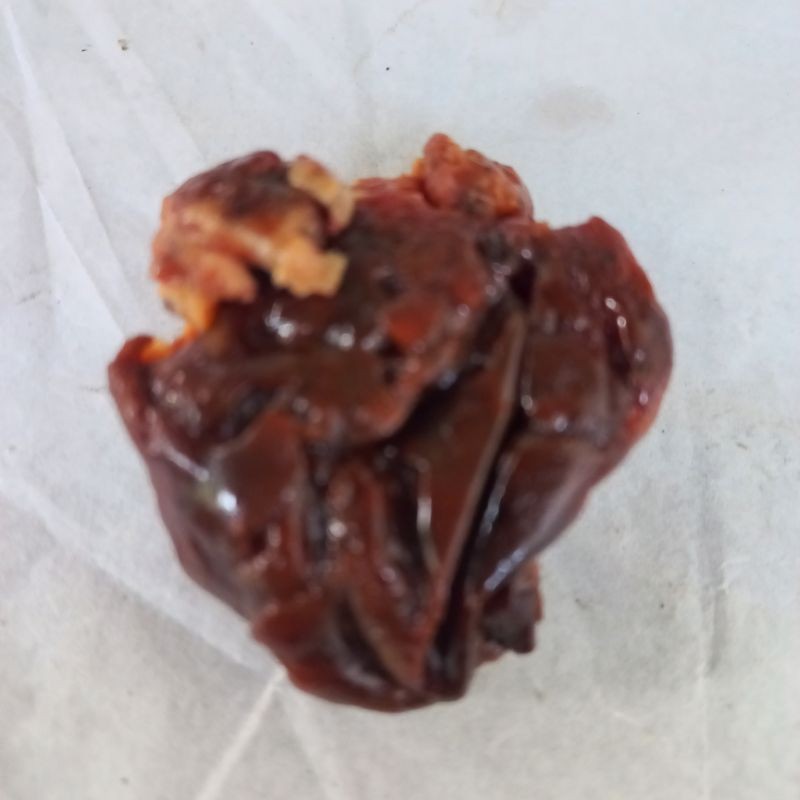 

MURAH Getah Inggu/Herbal Vertgo dan Sakit Kepala 25gr