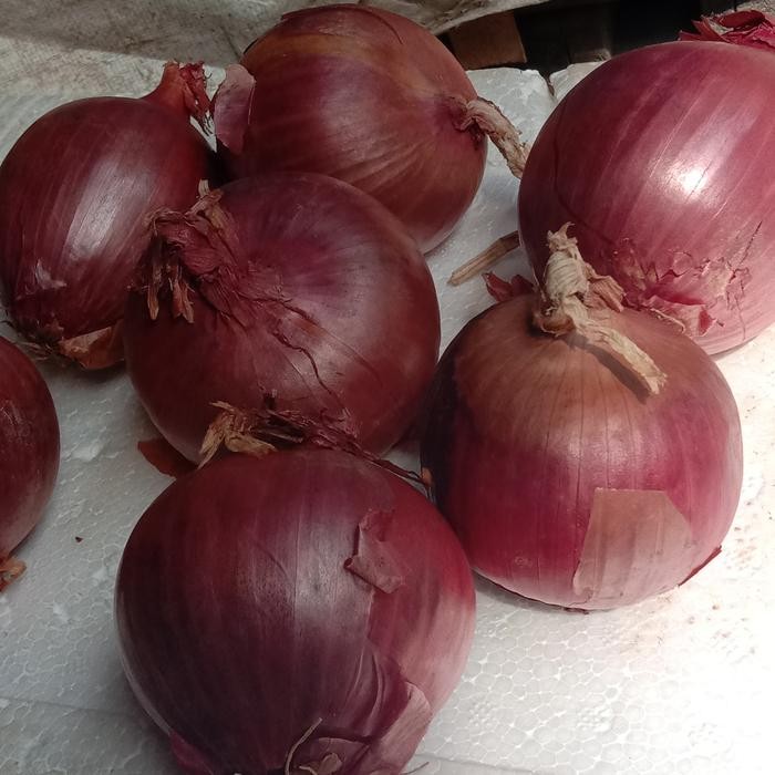 

bawang bombay merah NZ/unggu - Ungu, 60 80