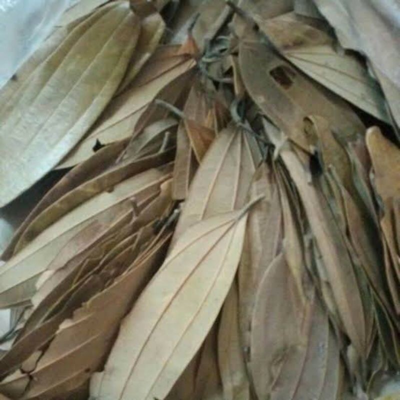 

BMB+ Daun Kayu Manis Kering 250gr / Daun Kayu Manis Kualitas Terbaik / Daun Kulit Manis Segar