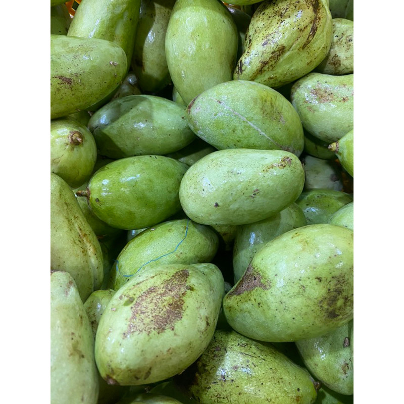 

READY Mangga muda 1/2kg