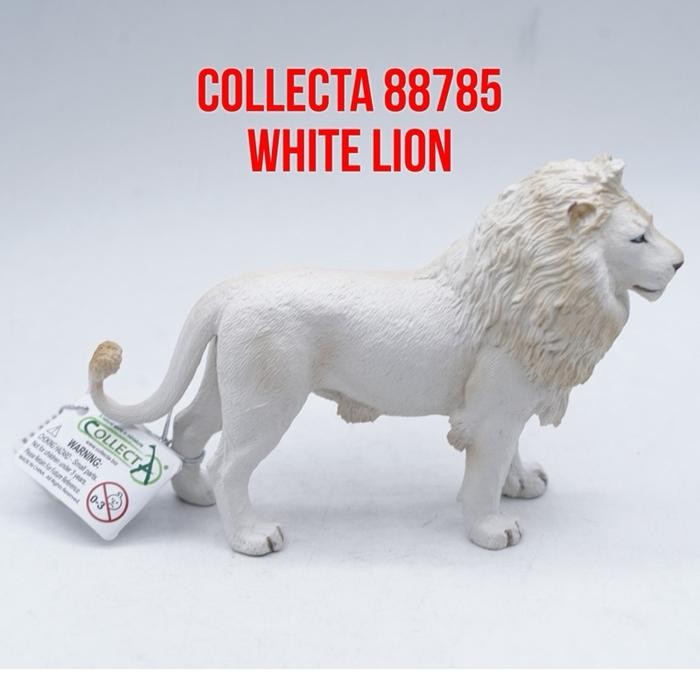 Collecta 88785 White Lion Singa Putih Panthera leo krugeri Mainan Binatang Miniature Hewan Animal Fi