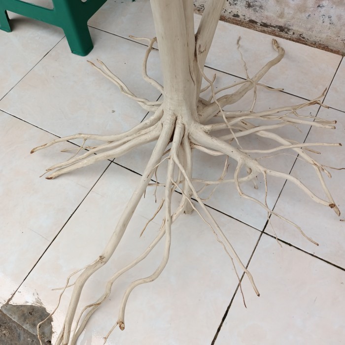 Sahabatalam Akar Kayu Kopi Aquascape / Rak Bunga Akar Kayu Kopi