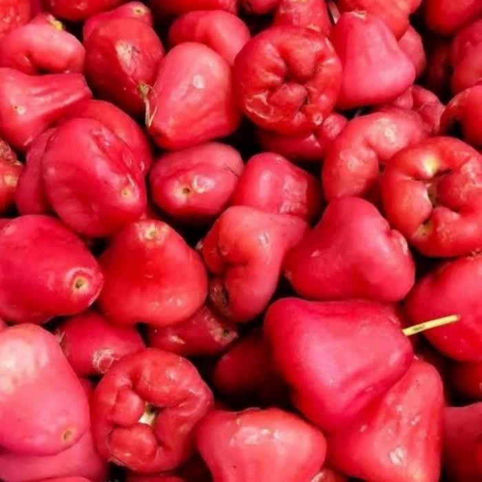 

JAMBU AIR 1 KG - BUAH RUJAK