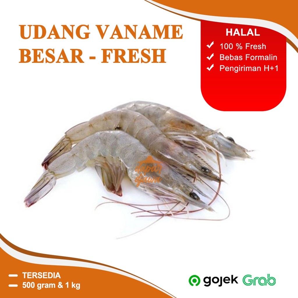 

UDANG Vaname Panami Besar Jerbung Beku Frozen 500 Gram 1 Kg Premium Besar