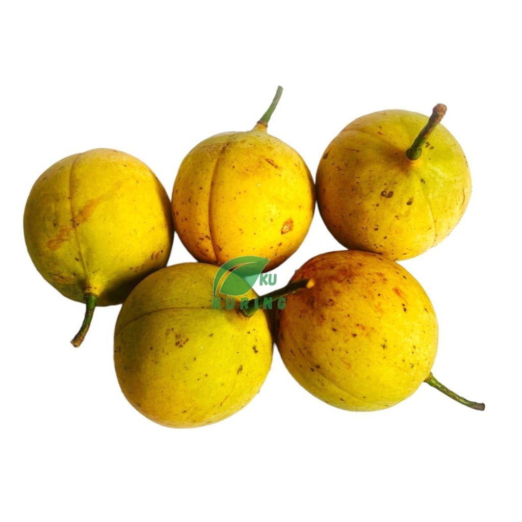 

OHI Buah Pala Segar Fresh Herbal Bumbu Manisan