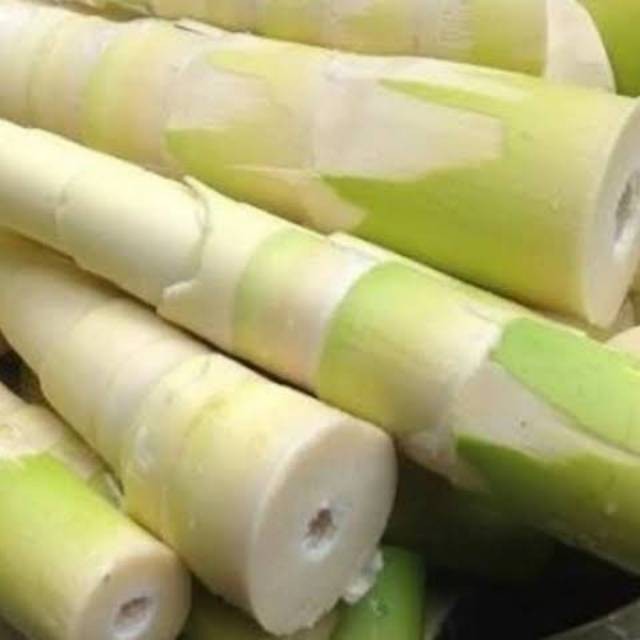 

OHI Jual Rebung Bambu Muda Frest 1kg