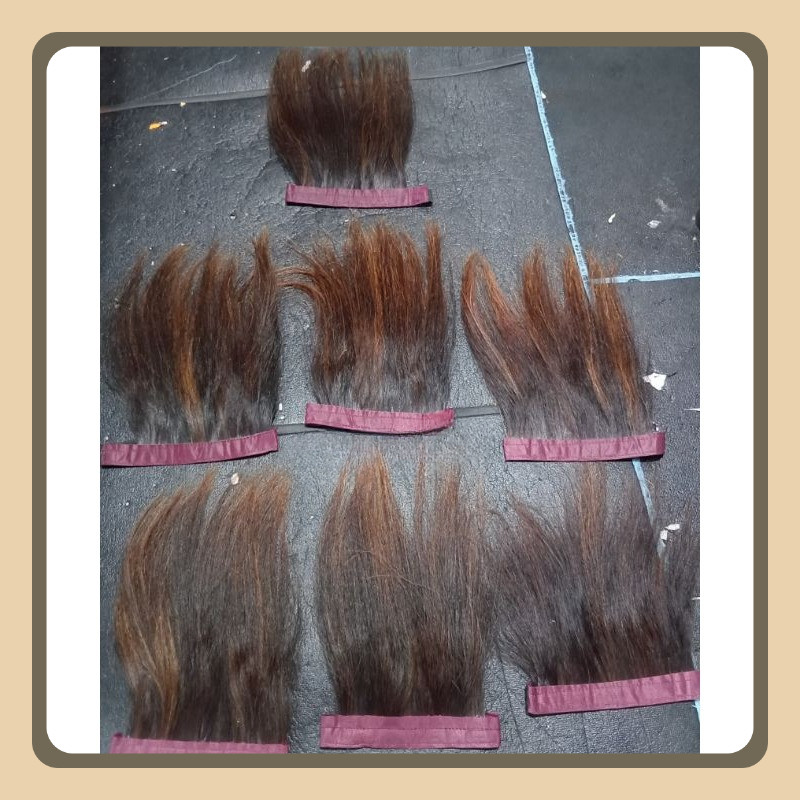 

Sopak/rambut belakang warok bahan suri