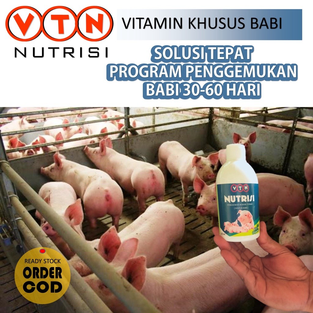 Vitamin Babi 500ML Semua Umur Vitamin Babi Cepat Besar Campuran Pur Babi dan Untuk Obat Cacing Babi