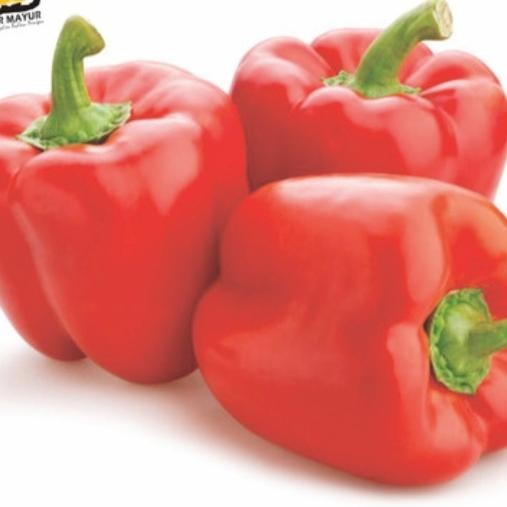 

Paprika Merah 500gr