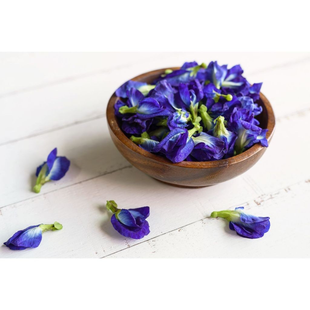 

Bunga Telang / Butterfly Pea / Teh Bunga Telang Kering 10 gr