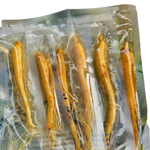 

Ginseng Segar Asli 20gram / panax ginseng