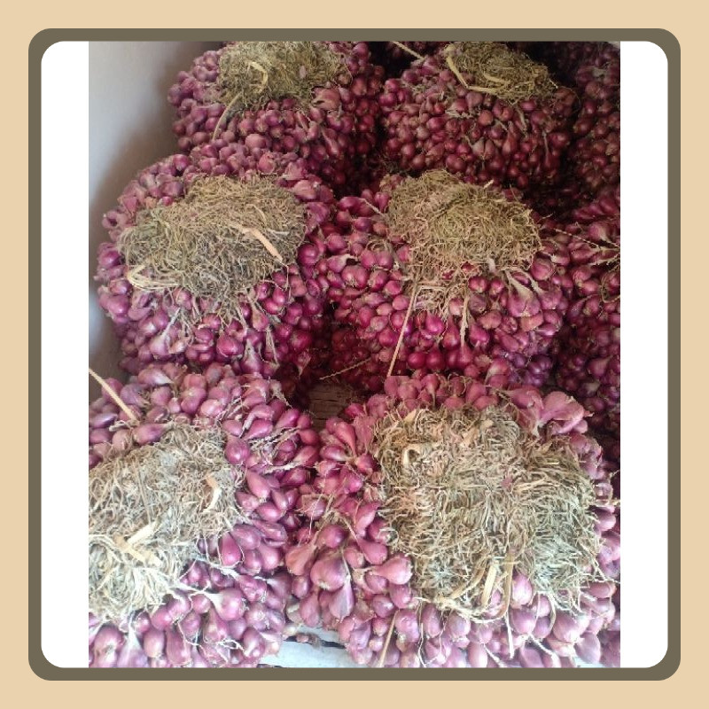 

Bawang merah brebes daunan kering 1kg cocok simpan gantung/ bibit askip (belum siap tanam)