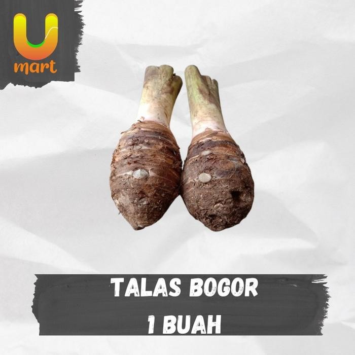 

Buah Talas Bogor - 1 Buah
