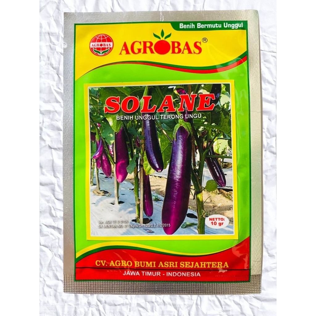 Benih Unggul Terong Ungu SOLANE berat isi 10gram