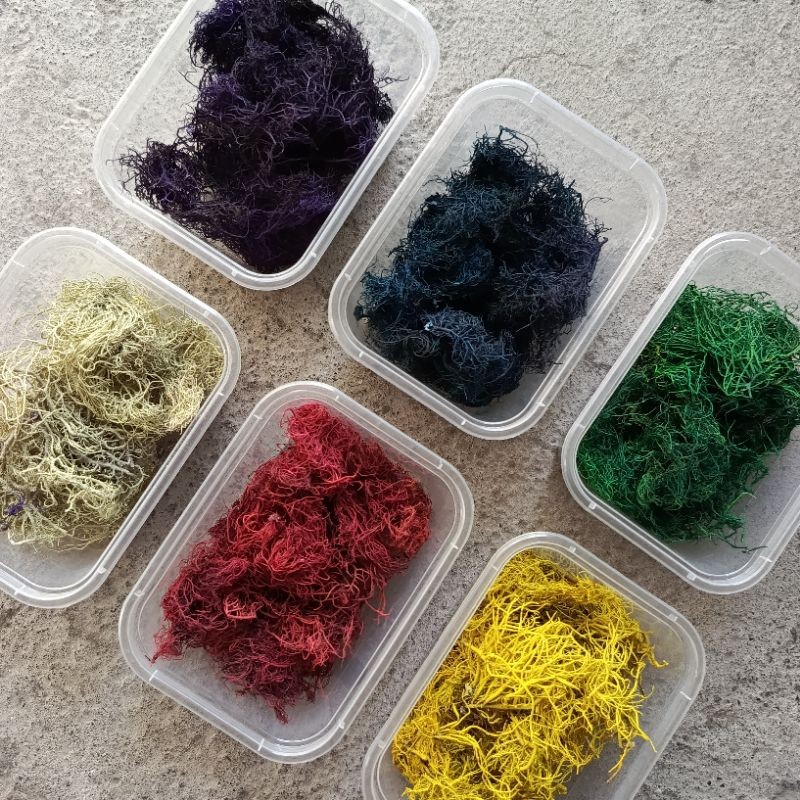 moss akar angin kayu angin akar wangi bahan kerajinan