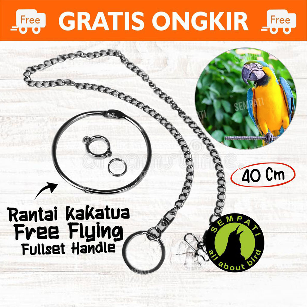SEMPATI RANTAI FREE FLYING 12 MM BORGOL RING IMPORT RANTAI UMBARAN LATIH KAKI BURUNG KAKATUA COCKATO