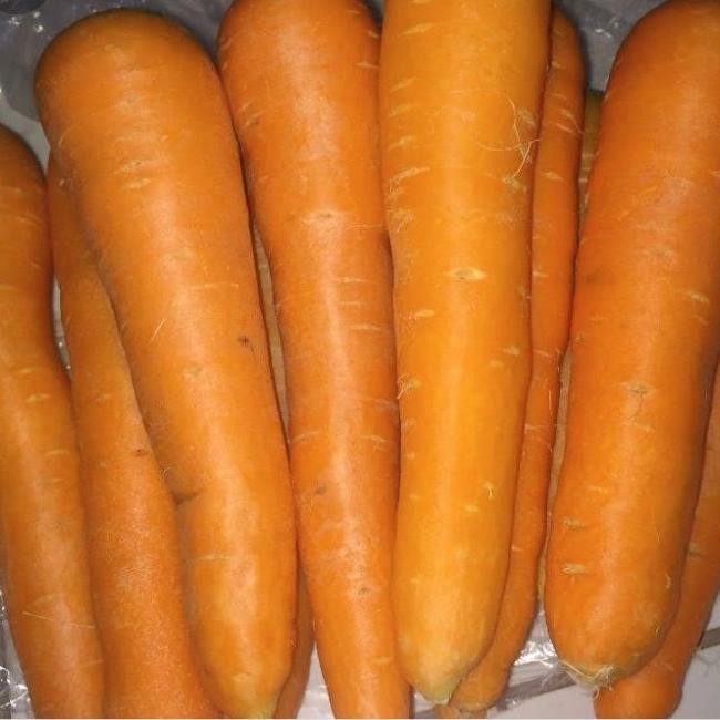

Wortel Lokal 500gr