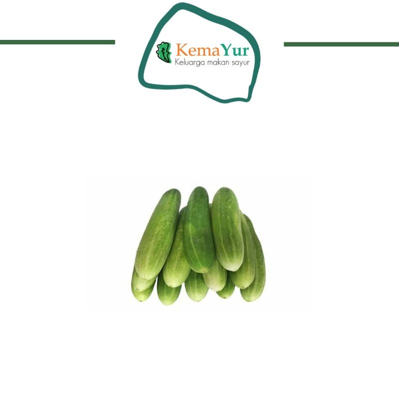 

TIMUN ACAR 1KG TIMUN LALAP