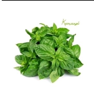 

kemangi per ikat (Sayur solo)