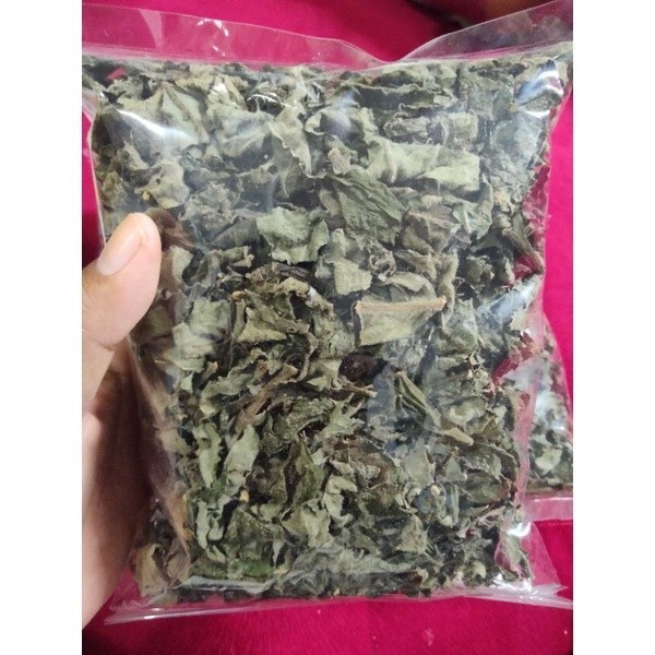 

AZ GelasKosong11 Daun Sembung Kering Sembung Herbal Kering Alami PROMO TERMURAH