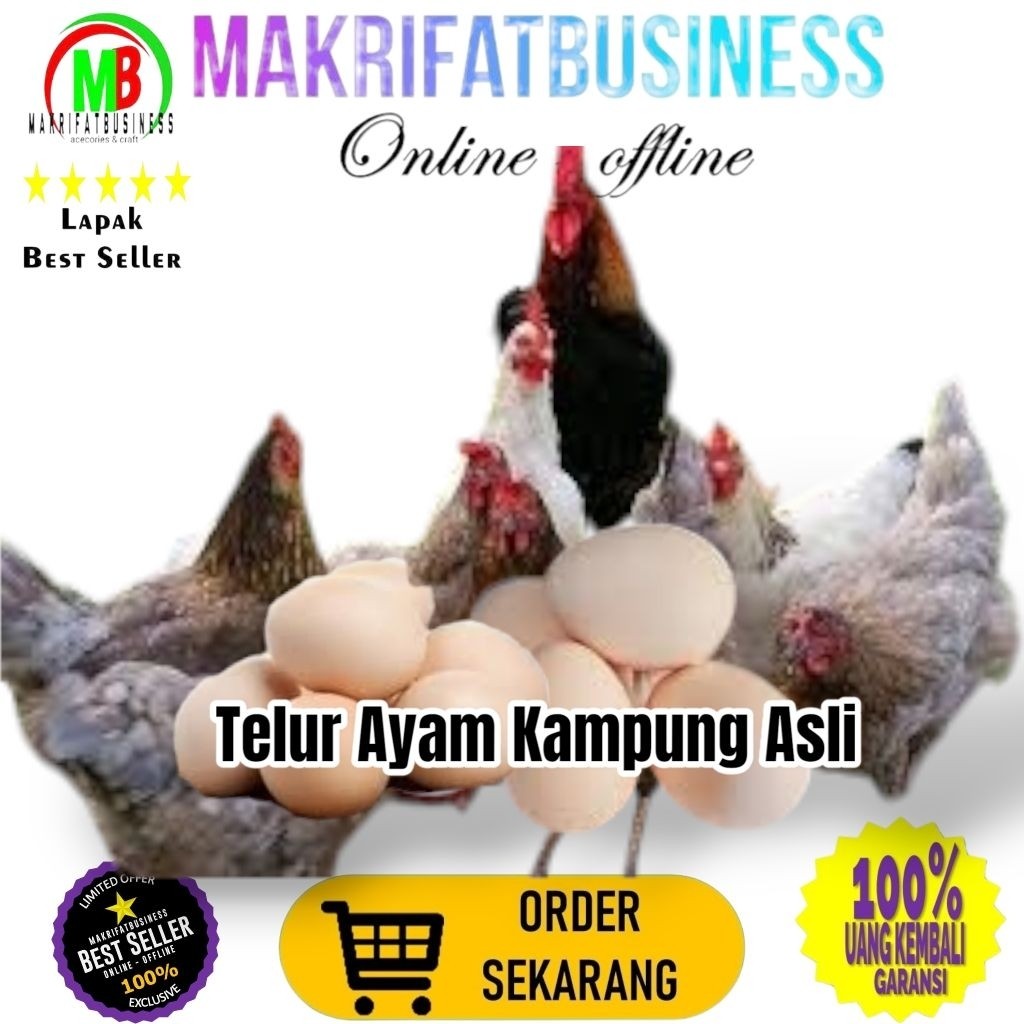 

IMRON PRIBADI Paket 10 Pcs Size Kecil TELUR AYAM KAMPUNG ASLI Untuk Konsumsi Jamu Kesehatan Makanan Protein Gizi Tinggi
