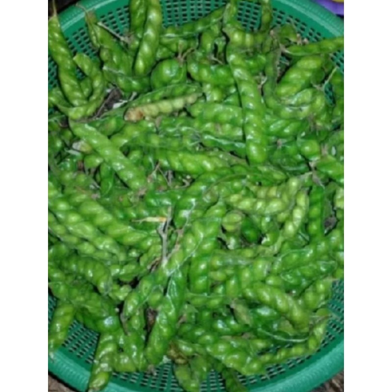

new.. Buah Hiris Sayur 100 Gram