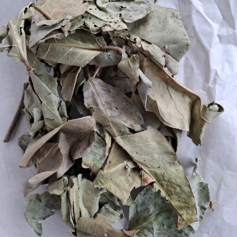 

MURAH Daun Bungur Kering 250/500gr